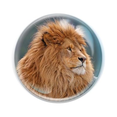 Lions Fridge Magnets