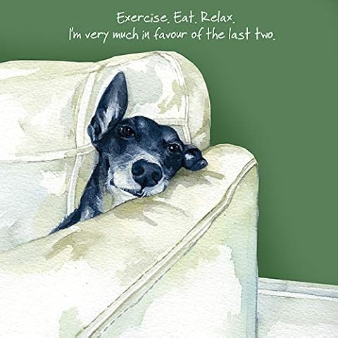 Little Dog Laughed thumbnail