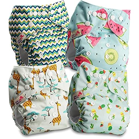 Littles & Bloomz Cloth Diapers