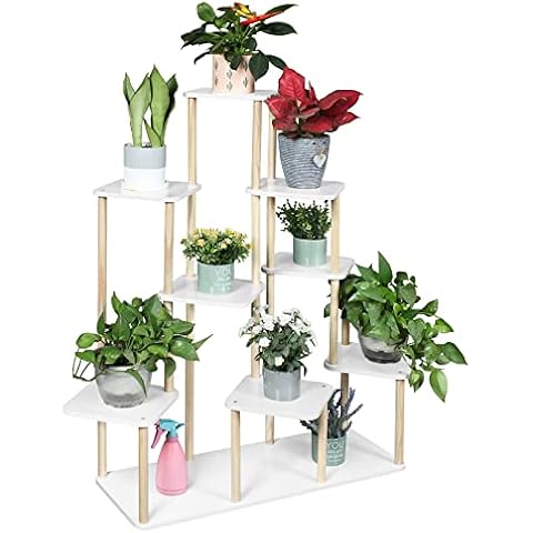 LIWSHWZ feature image