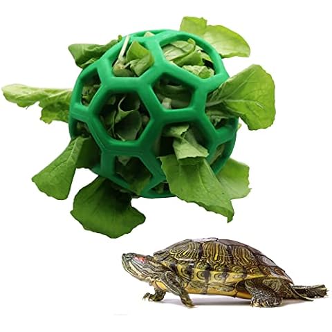 LODCZIOE feature image