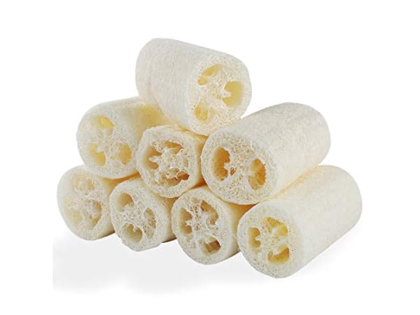 Loofah Sponges Thumbnail