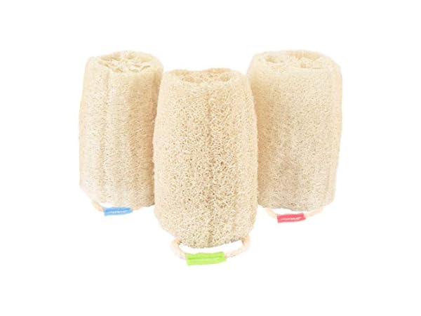 Loofah Sponges Thumbnail