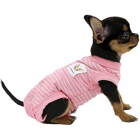 LOPHIPETS feature image