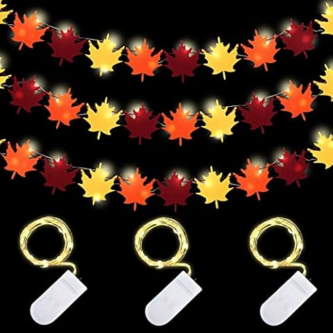 Lothee feature image