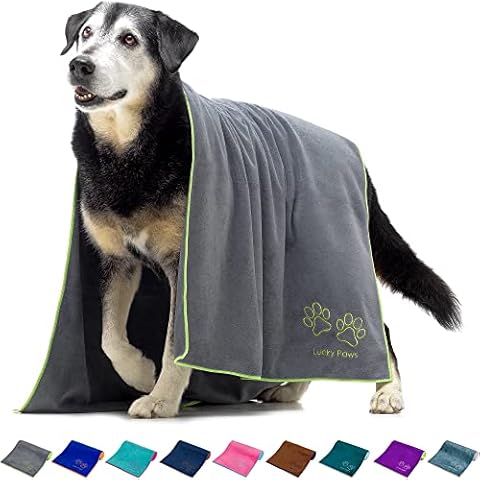 Lucky Paws feature image