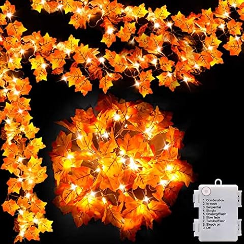 Luditek feature image