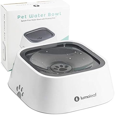LumoLeaf feature image