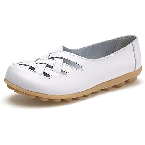 Macloey feature image