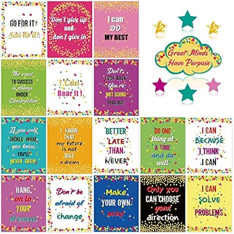 Macolily feature image