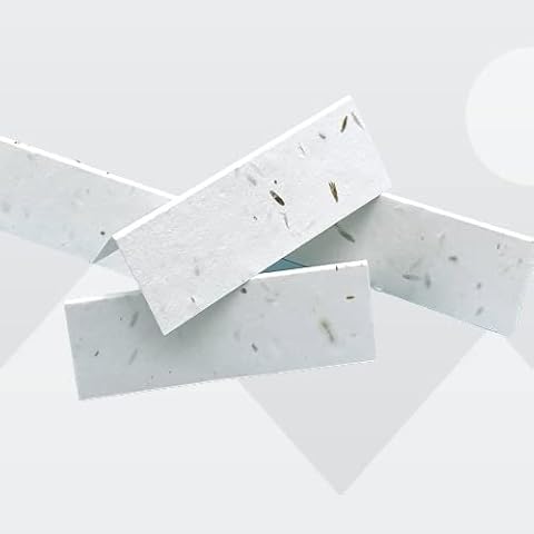 Mankey Monkey feature image