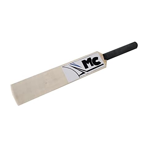 Mars Cricket feature image