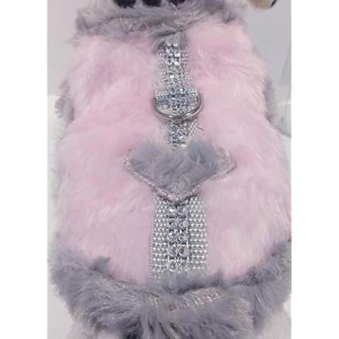 Masi Dogsdesign feature image