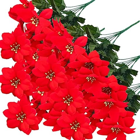 MELAJIA feature image