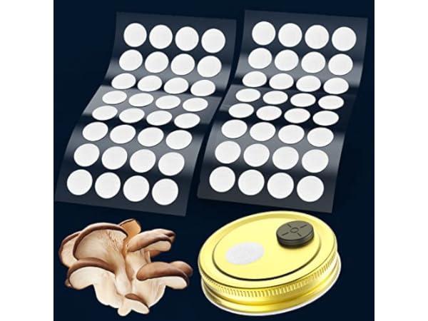 Membrane Filters Thumbnail