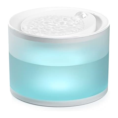 Meowant feature image