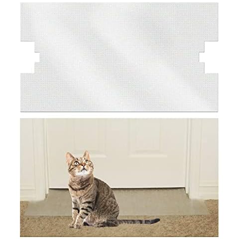 MeowWow feature image