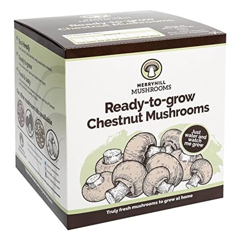 Merryhill Mushrooms feature image