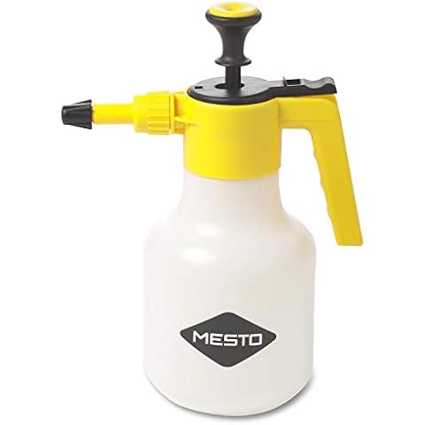 Mesto feature image