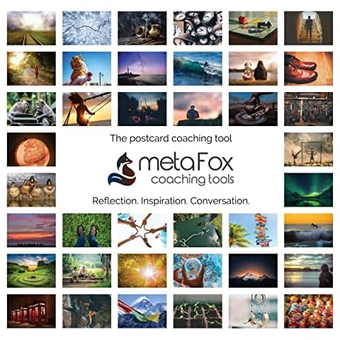 MetaFox feature image