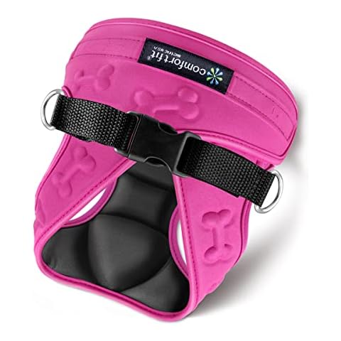 Metric Usa feature image