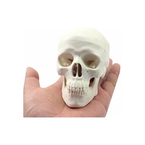 Mike-Dental feature image
