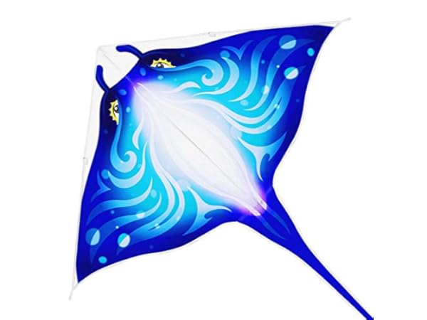 Mint's Colorful Life Kites thumbnail