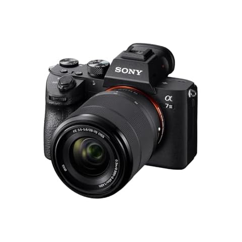 Mirrorless Cameras