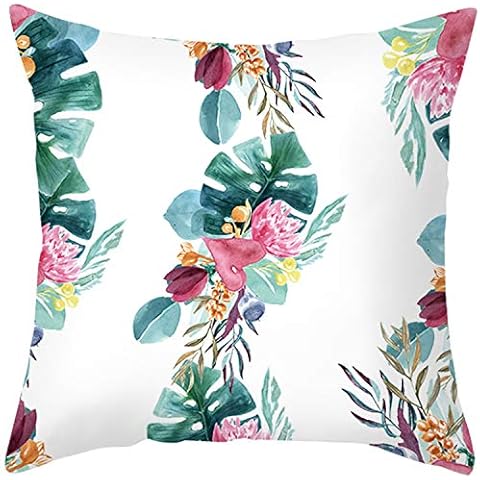 Miyoopark feature image