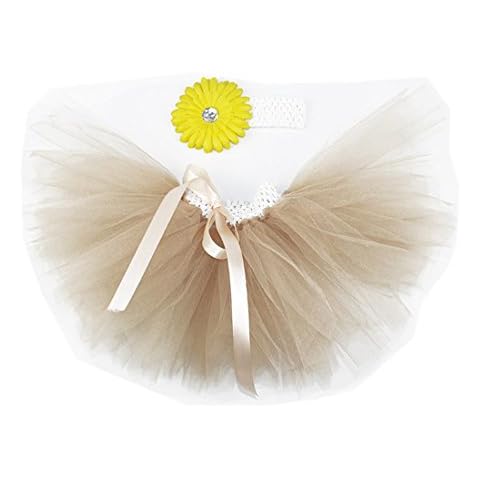 MizHome feature image