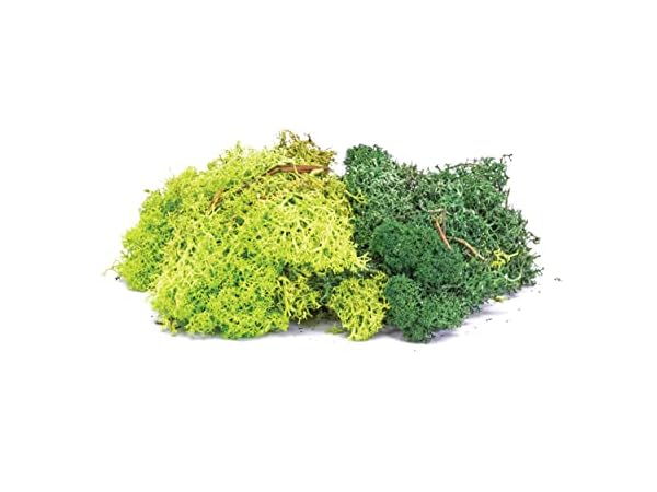 Model Train Scenery Thumbnail