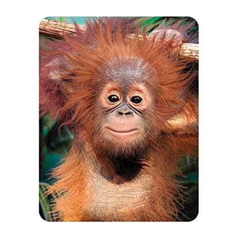 Monkeys Fridge Magnets