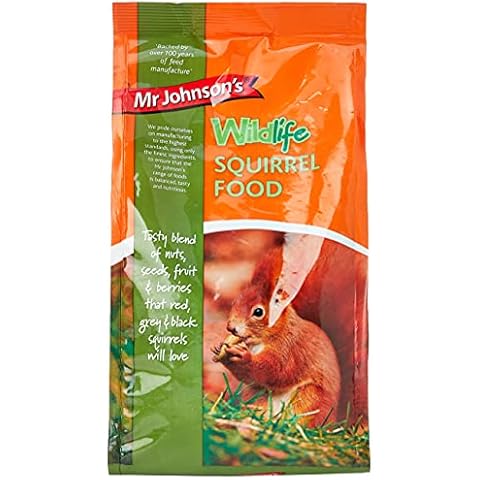 Mr Johnson's feature image