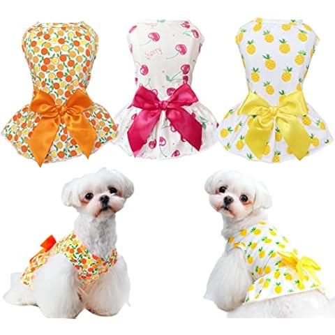 MSNFOASM feature image