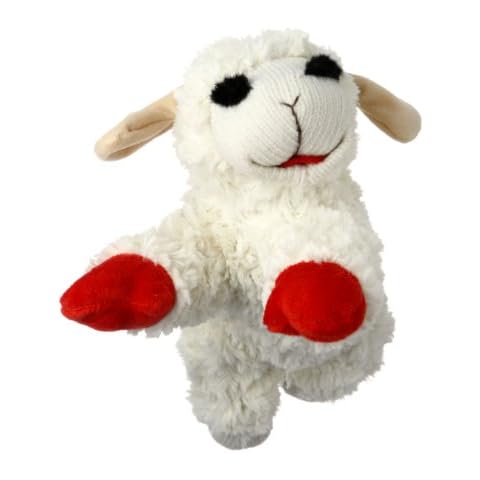 MULTIPET feature image