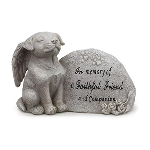 Napco Imports feature image