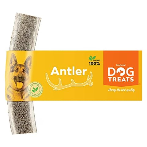 Natural Dog Treats feature image