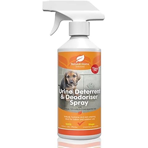 Natural Home Solutions feature image