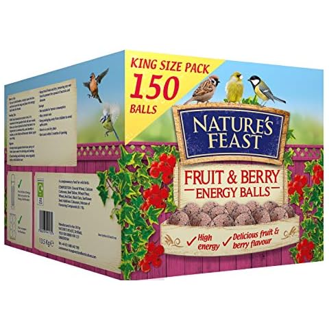 Nature's Feast feature image