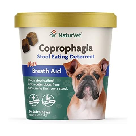 NaturVet feature image