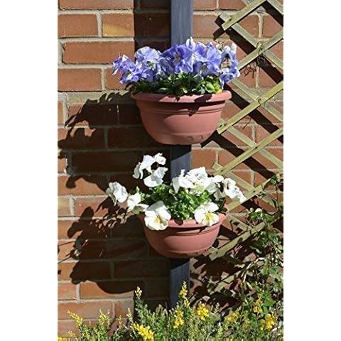 Neat Ideas Ltd feature image