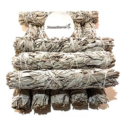 NESSASTORES feature image