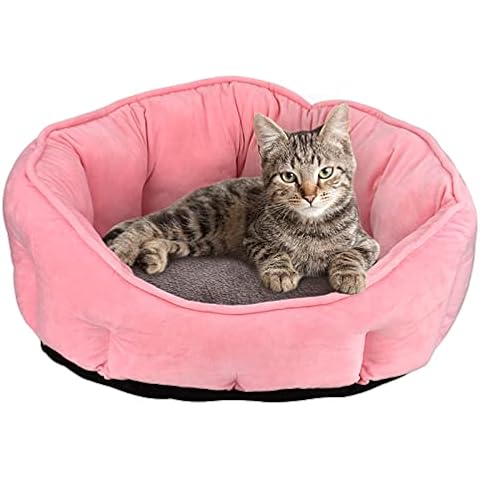 Nesting Dog Beds