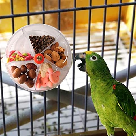 Newwyt feature image