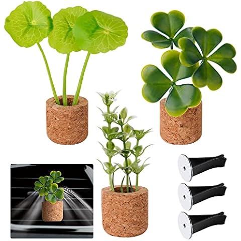NiHome feature image