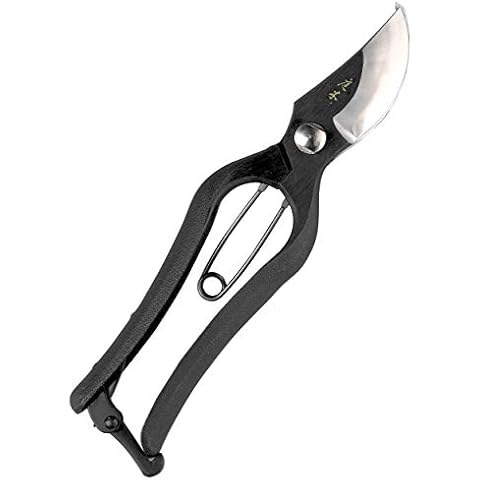 Niwaki feature image