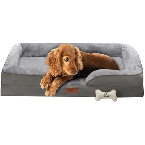 Non Skid Bottom Dog Beds