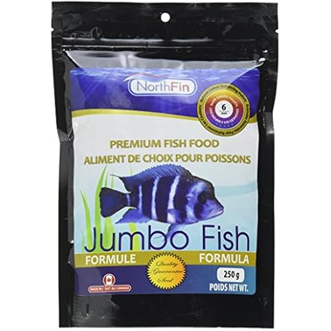 Northfin feature image