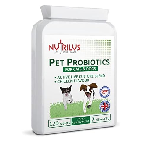 Nutrilus feature image