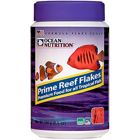 Ocean Nutrition feature image
